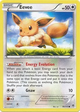 Eevee (Pokemon XY Furious Fists)