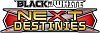 Black & White: Next Destinies